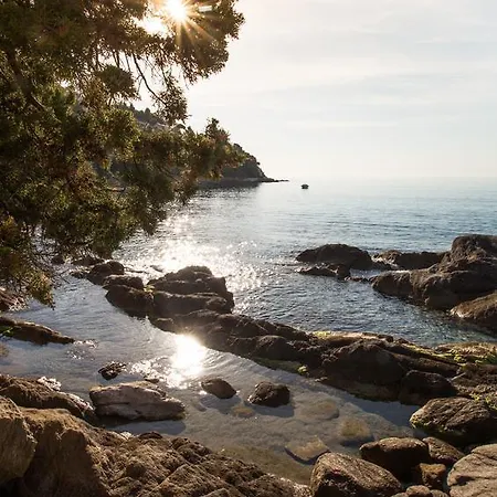 T2 Confort Proche Plage, Climatisation, Parking Inclus Apartmán Le Lavandou